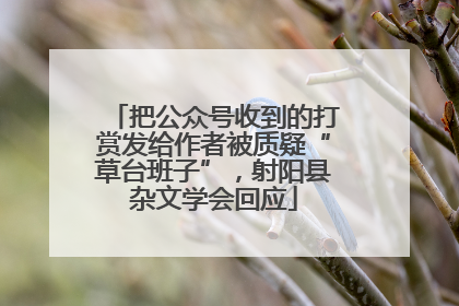把公众号收到的打赏发给作者被质疑“草台班子”，射阳县杂文学会回应