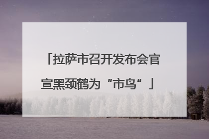 拉萨市召开发布会官宣黑颈鹤为“市鸟”