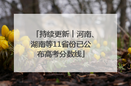 持续更新︱河南、湖南等11省份已公布高考分数线