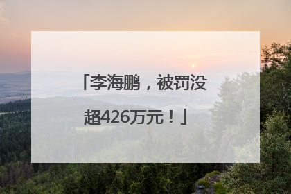 李海鹏，被罚没超426万元！