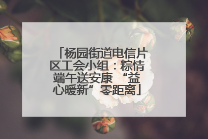 杨园街道电信片区工会小组：粽情端午送安康 “益心暖新”零距离