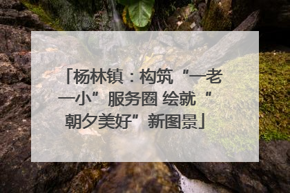 杨林镇：构筑“一老一小”服务圈 绘就“朝夕美好”新图景