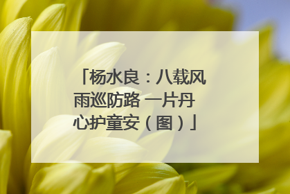 杨水良：八载风雨巡防路 一片丹心护童安（图）