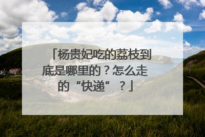 杨贵妃吃的荔枝到底是哪里的？怎么走的“快递”？