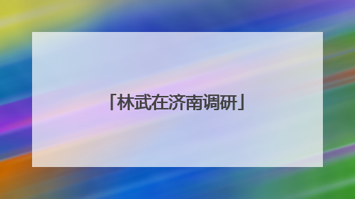 林武在济南调研