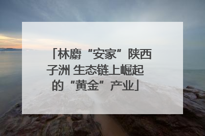 林麝“安家”陕西子洲 生态链上崛起的“黄金”产业