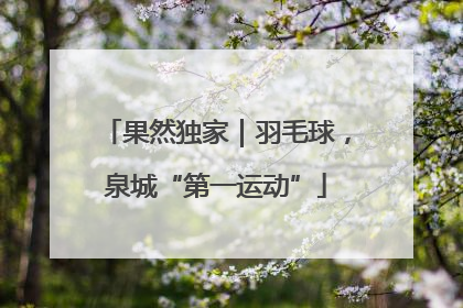 果然独家｜羽毛球，泉城“第一运动”