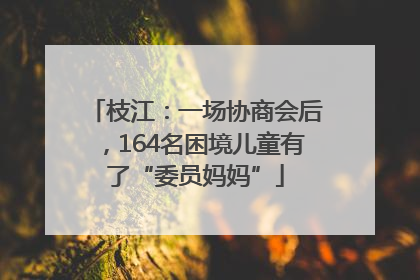 枝江：一场协商会后，164名困境儿童有了“委员妈妈”
