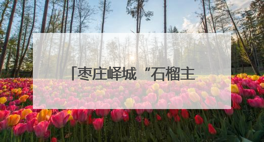 枣庄峄城“石榴主产区铸牢中华民族共同体意识联盟项目”将以“六联”活动为抓手深化品牌建设