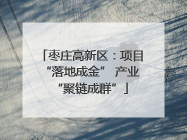 枣庄高新区：项目“落地成金” 产业“聚链成群”