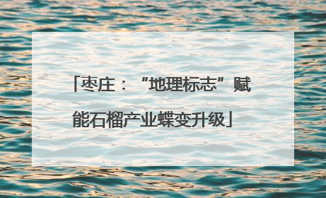 枣庄：“地理标志”赋能石榴产业蝶变升级