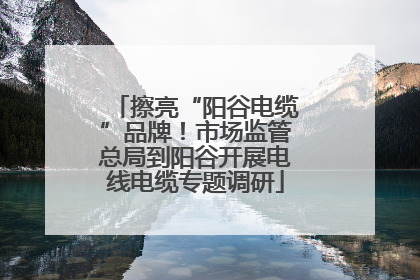 擦亮“阳谷电缆”品牌！市场监管总局到阳谷开展电线电缆专题调研