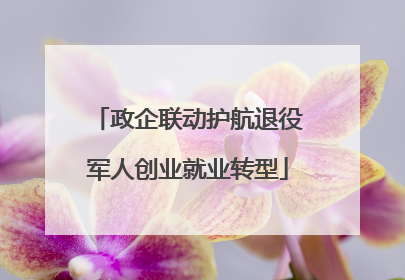 政企联动护航退役军人创业就业转型
