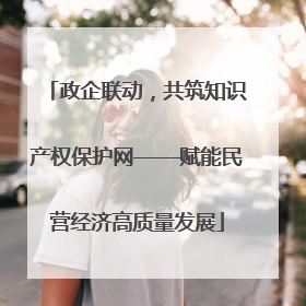 政企联动，共筑知识产权保护网——赋能民营经济高质量发展