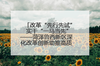 改革“先行先试” 实干“一马当先”——菏泽鲁西新区深化改革创新助推高质量发展纪实