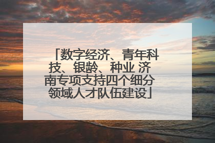 数字经济、青年科技、银龄、种业 济南专项支持四个细分领域人才队伍建设