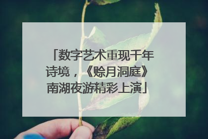 数字艺术重现千年诗境，《赊月洞庭》南湖夜游精彩上演