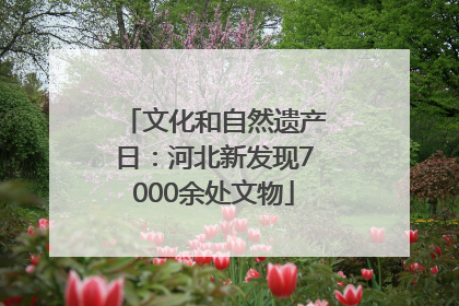 文化和自然遗产日：河北新发现7000余处文物