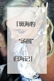 斑海豹“汤圆”归海记