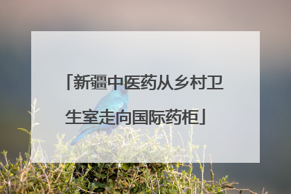 新疆中医药从乡村卫生室走向国际药柜