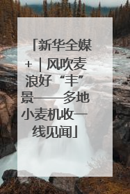 新华全媒+｜风吹麦浪好“丰”景——多地小麦机收一线见闻