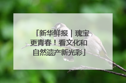 新华鲜报｜瑰宝更青春！看文化和自然遗产新光彩