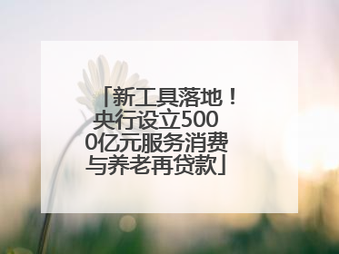 新工具落地！央行设立5000亿元服务消费与养老再贷款