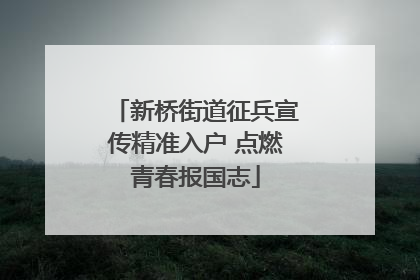 新桥街道征兵宣传精准入户 点燃青春报国志