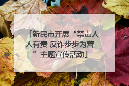 新民市开展“禁毒人人有责 反诈步步为营”主题宣传活动