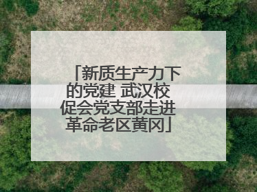 新质生产力下的党建 武汉校促会党支部走进革命老区黄冈