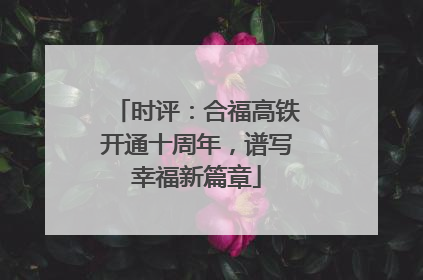 时评：合福高铁开通十周年，谱写幸福新篇章