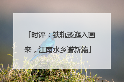 时评：铁轨逶迤入画来，江南水乡谱新篇