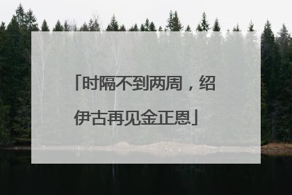 时隔不到两周，绍伊古再见金正恩