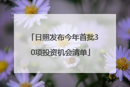 日照发布今年首批30项投资机会清单