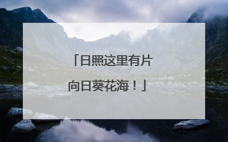 日照这里有片向日葵花海！