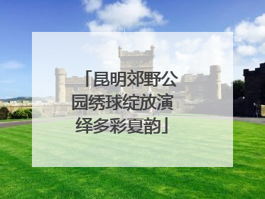 昆明郊野公园绣球绽放演绎多彩夏韵