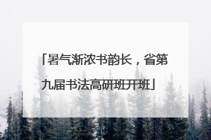暑气渐浓书韵长，省第九届书法高研班开班