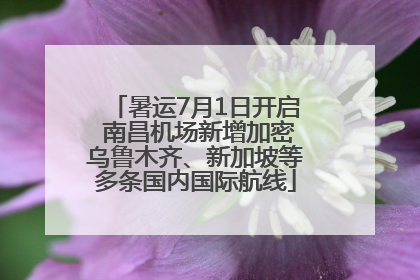 暑运7月1日开启 南昌机场新增加密乌鲁木齐、新加坡等多条国内国际航线