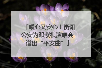 暖心又安心！衡阳公安为邓紫棋演唱会谱出“平安曲”