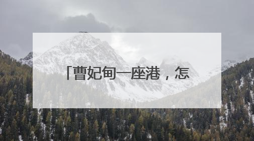 曹妃甸一座港，怎样带动一座城？人民日报记者调查