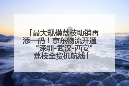 最大规模荔枝助销再添一码！京东物流开通“深圳-武汉-西安” 荔枝全货机航线