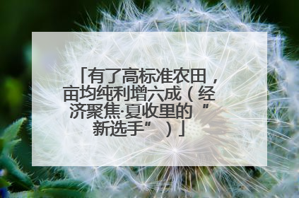 有了高标准农田，亩均纯利增六成（经济聚焦·夏收里的“新选手”）