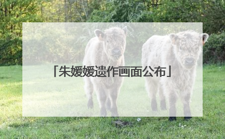 朱媛媛遗作画面公布