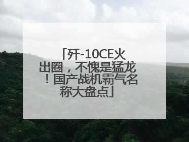 歼-10CE火出圈，不愧是猛龙！国产战机霸气名称大盘点