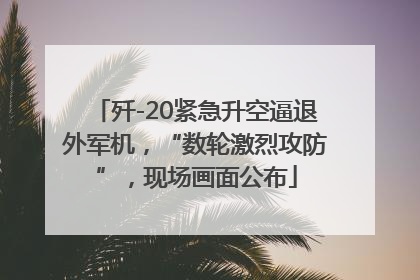 歼-20紧急升空逼退外军机，“数轮激烈攻防”，现场画面公布
