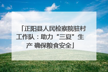正阳县人民检察院驻村工作队：助力“三夏”生产 确保粮食安全