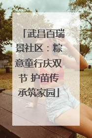 武昌百瑞景社区：粽意童行庆双节 护苗传承筑家园