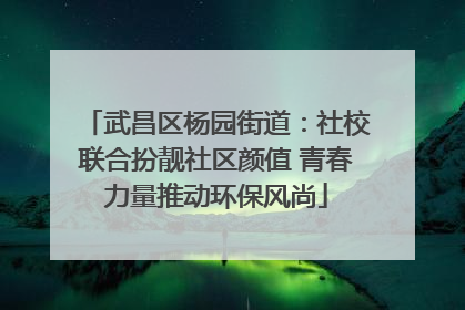 武昌区杨园街道：社校联合扮靓社区颜值 青春力量推动环保风尚