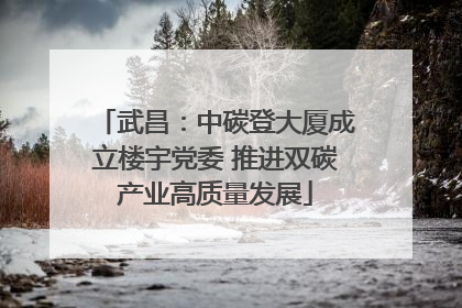 武昌：中碳登大厦成立楼宇党委 推进双碳产业高质量发展