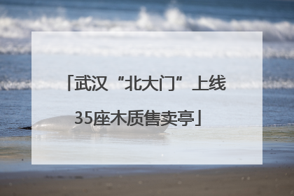 武汉“北大门”上线35座木质售卖亭